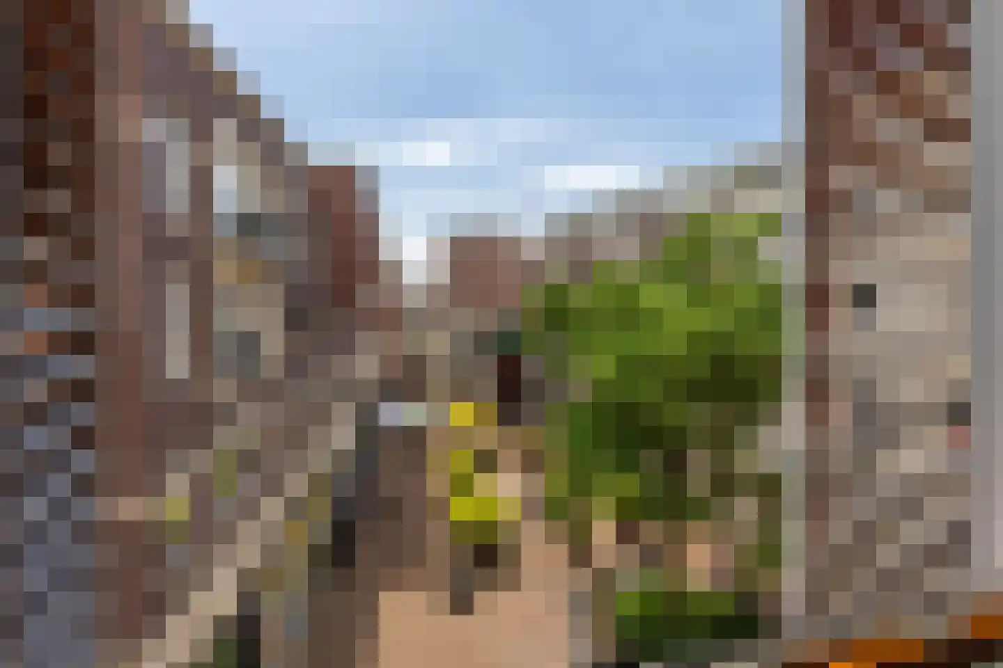 Walstraat 4 5 Arnhem thumbnail 28