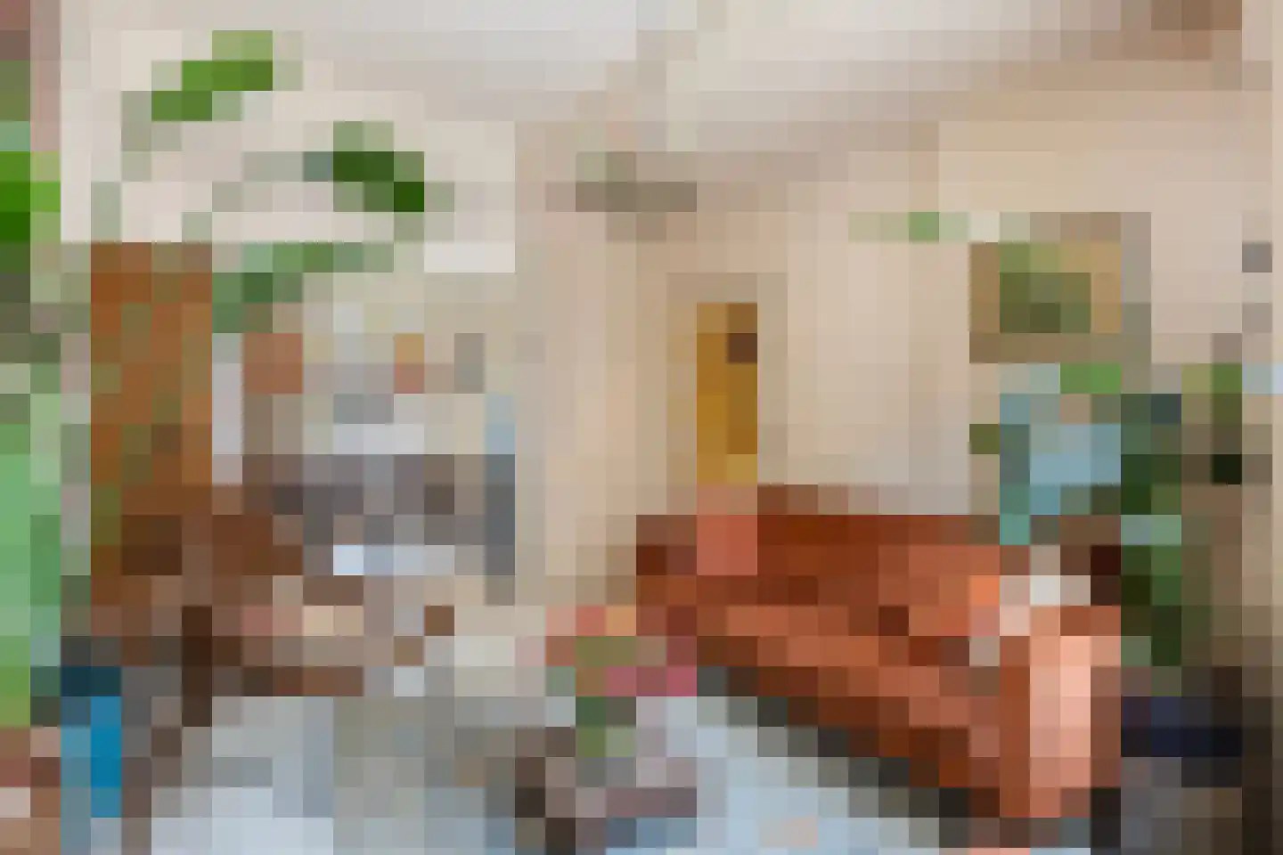 Walstraat 43 Zwolle thumbnail 9