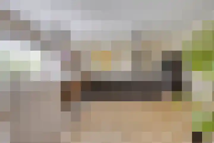 Walstraat 44 F Oss thumbnail 4