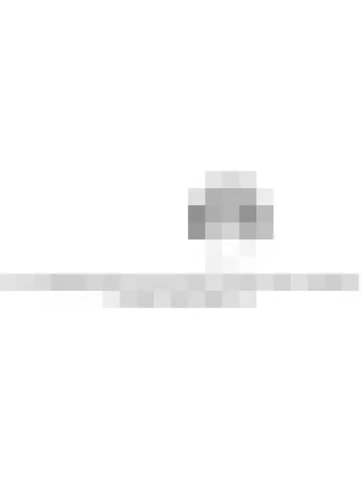 Walstraat 44 F Oss thumbnail 42