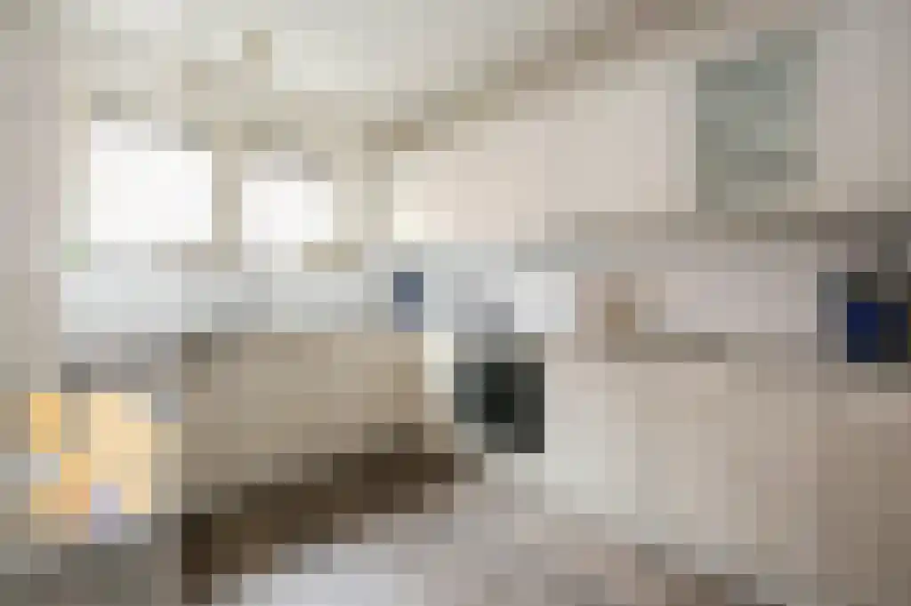 Walstraat 49 Ravenstein thumbnail 18