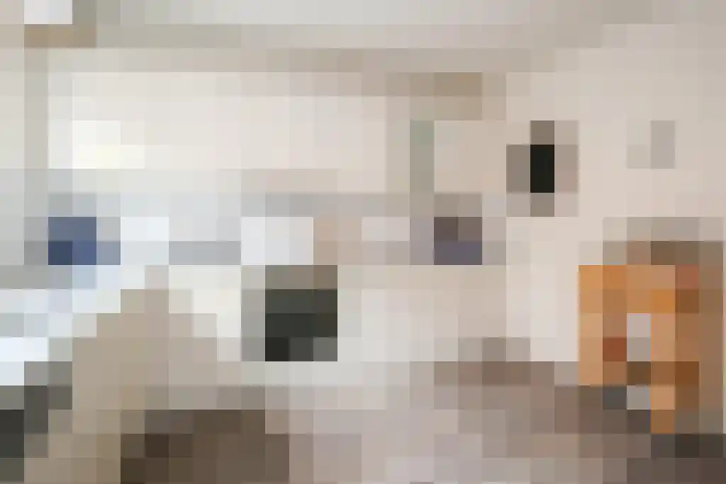 Walstraat 49 Ravenstein thumbnail 19