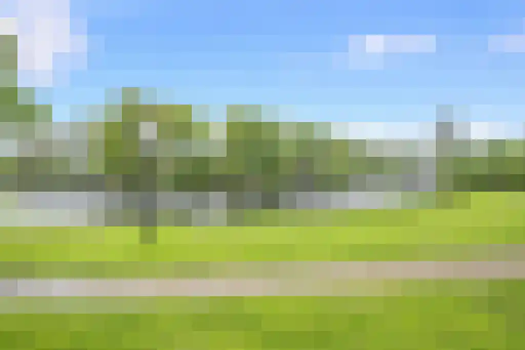 Walstraat 49 Ravenstein thumbnail 44