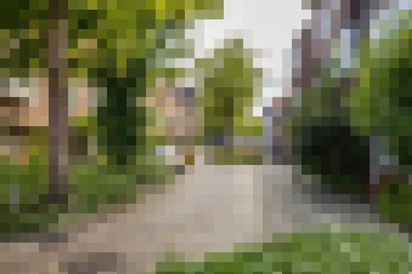 Walstraat 5 b Groningen thumbnail 6