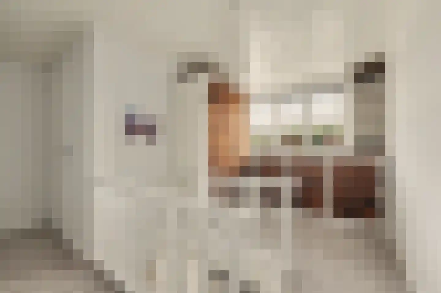 Walstraat 5 Klundert thumbnail 28