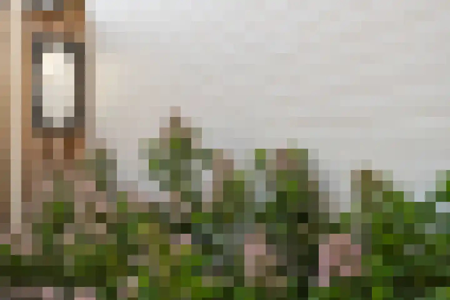 Walstraat 5 Klundert thumbnail 32