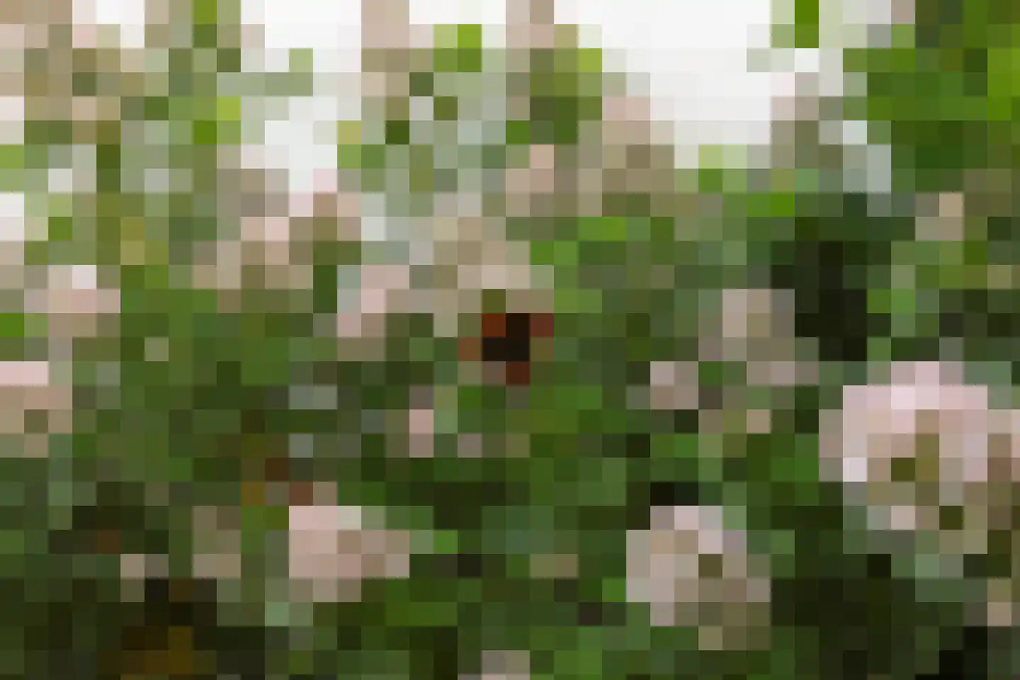 Walstraat 5 Klundert thumbnail 33
