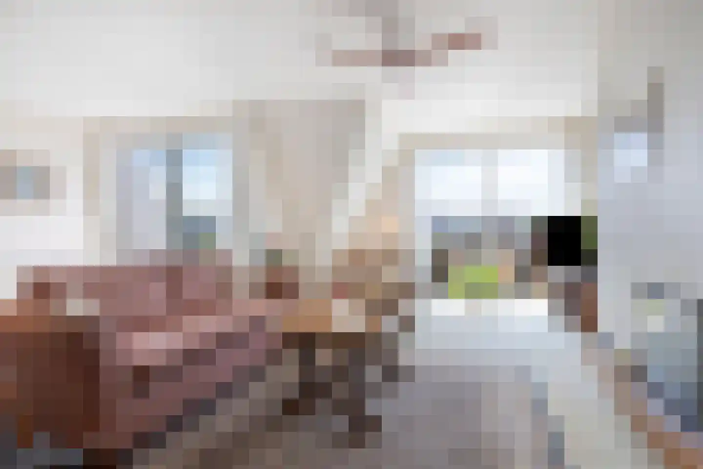 Walstraat 50 Doetinchem thumbnail 6