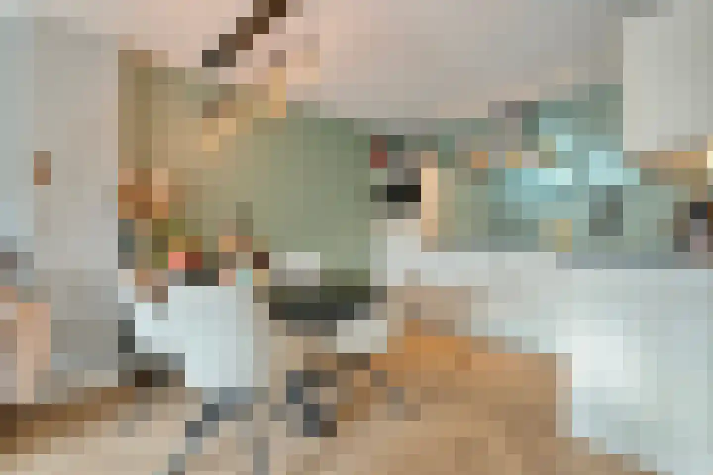 Walstraat 51 Rijssen thumbnail 15