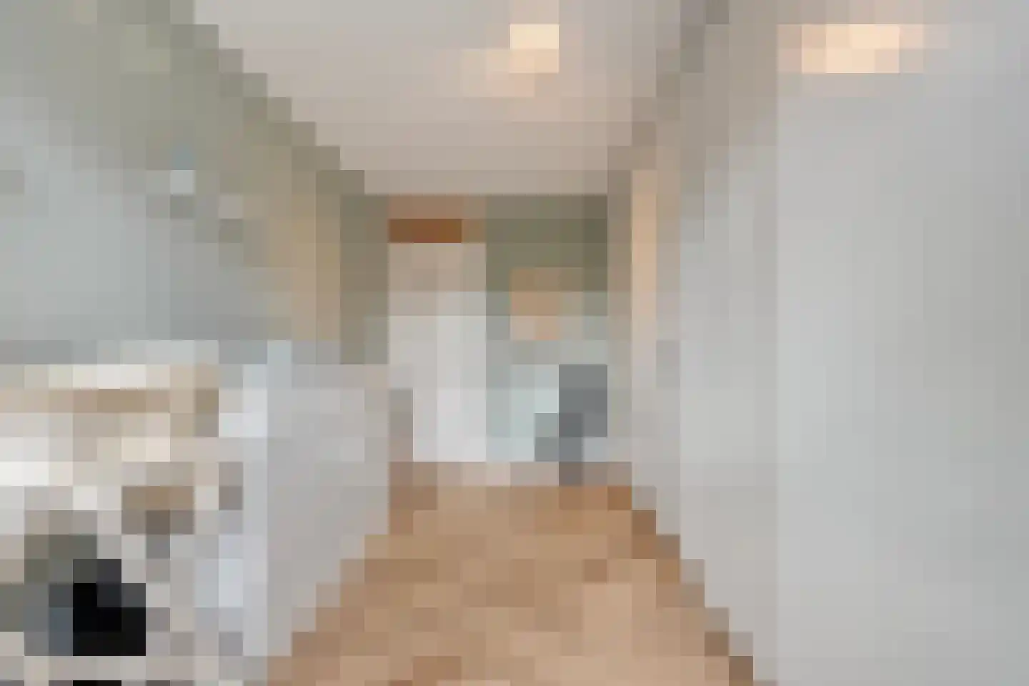 Walstraat 51 Rijssen thumbnail 24