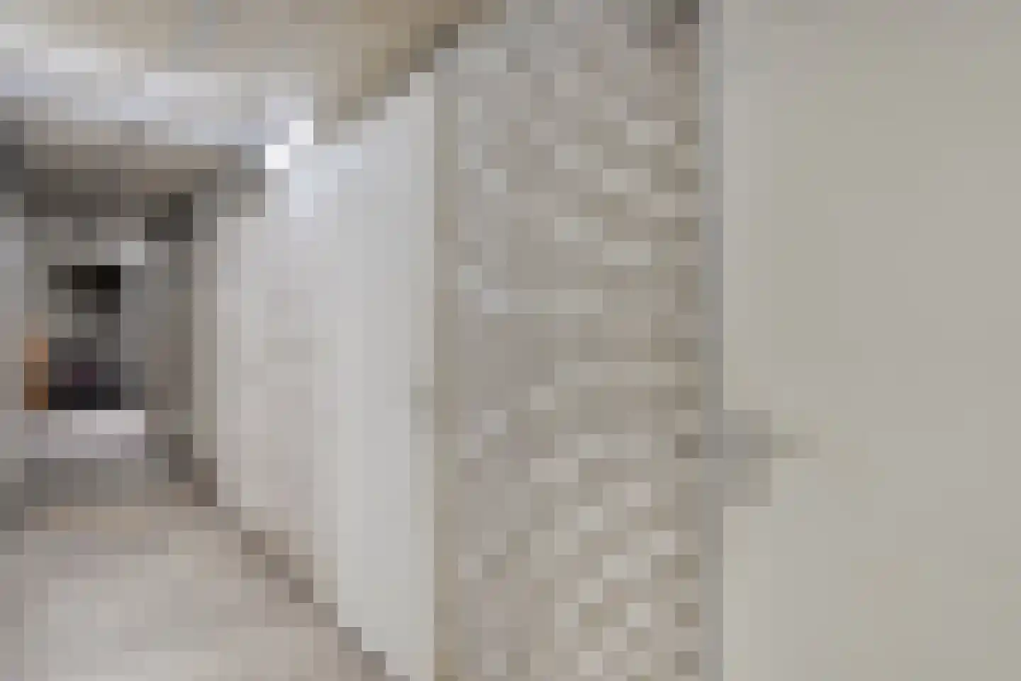 Walstraat 51 Rijssen thumbnail 33