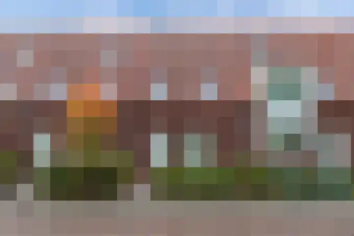 Walstraat 59 Kraggenburg thumbnail 8