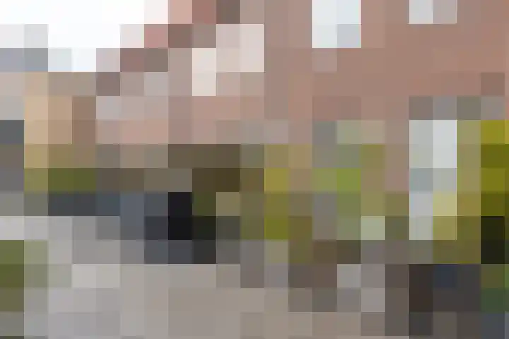 Walstraat 59 Terborg thumbnail 21