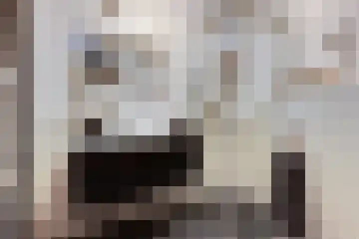 Walstraat 59 Terborg thumbnail 34