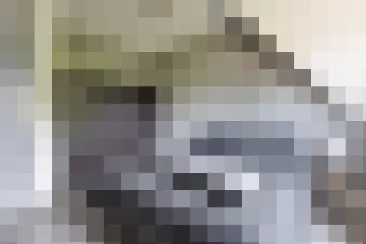 Walstraat 59 Terborg thumbnail 4