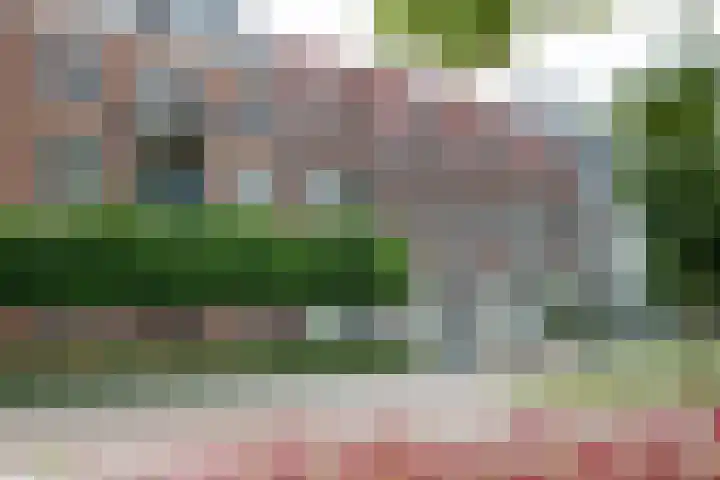 Walstraat 59 Terborg thumbnail 42