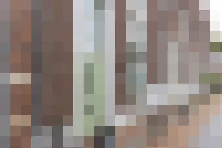 Walstraat 59 Terborg thumbnail 8
