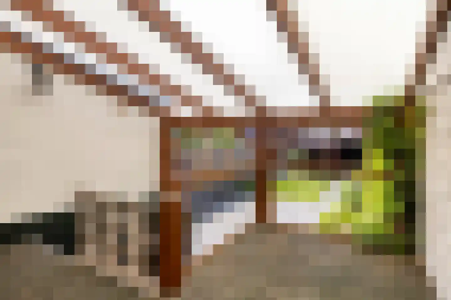 Walstraat 62 Axel thumbnail 23