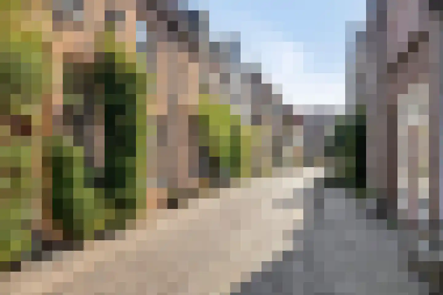 Walstraat 65 Deventer thumbnail 27