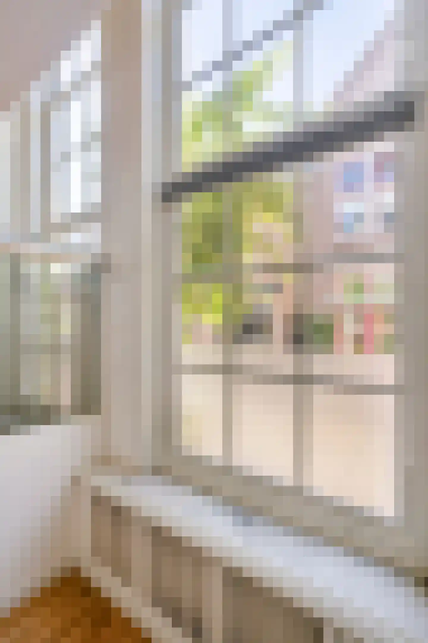 Walstraat 65 Deventer thumbnail 8