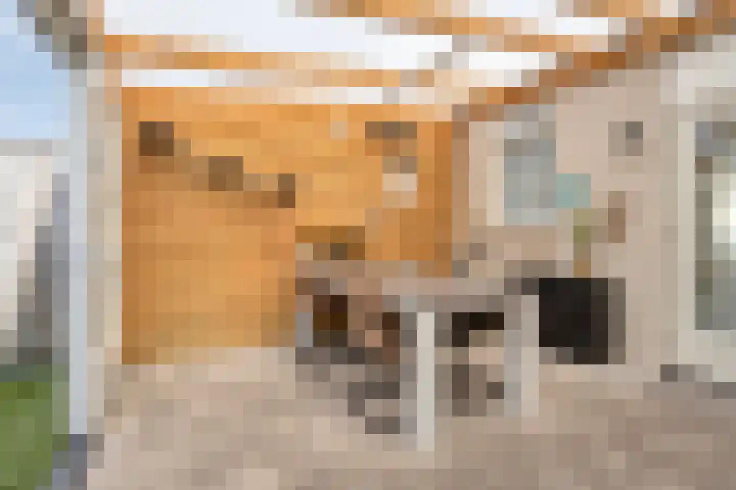 Walstraat 7 Rilland thumbnail 15