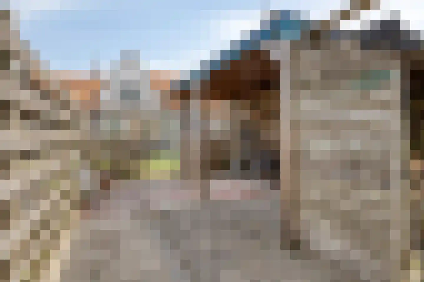 Walstraat 7 Rilland thumbnail 29