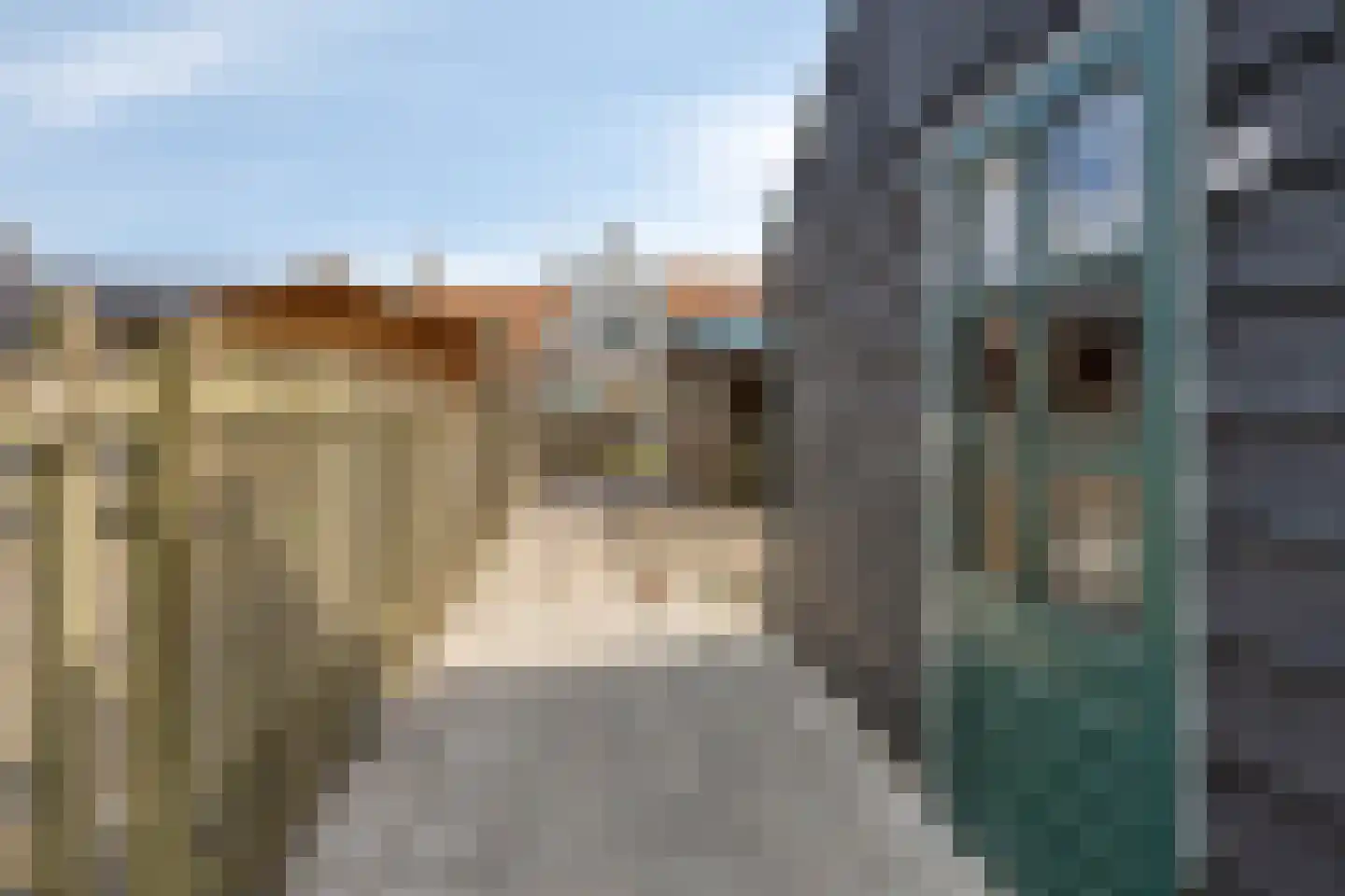 Walstraat 7 Rilland thumbnail 31