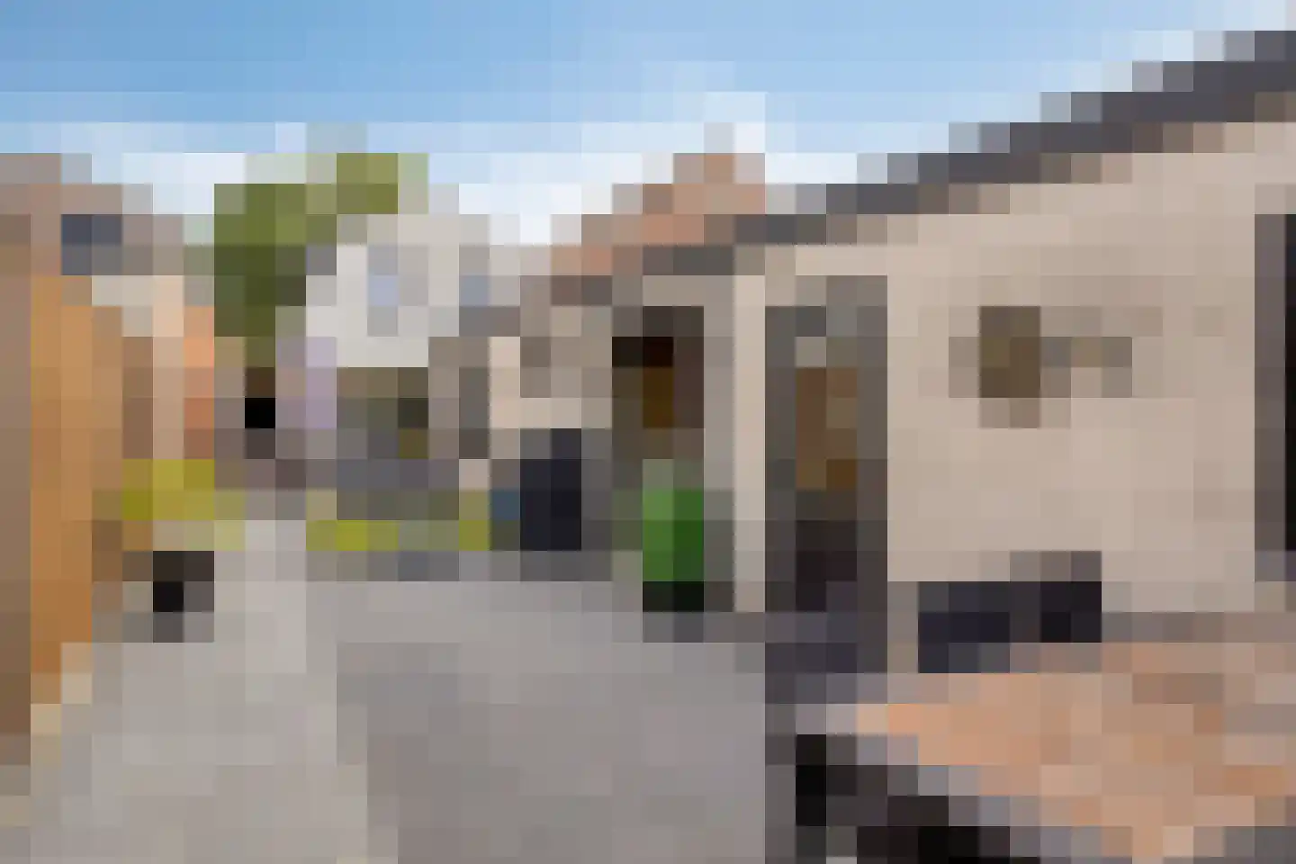 Walstraat 72 Axel thumbnail 26