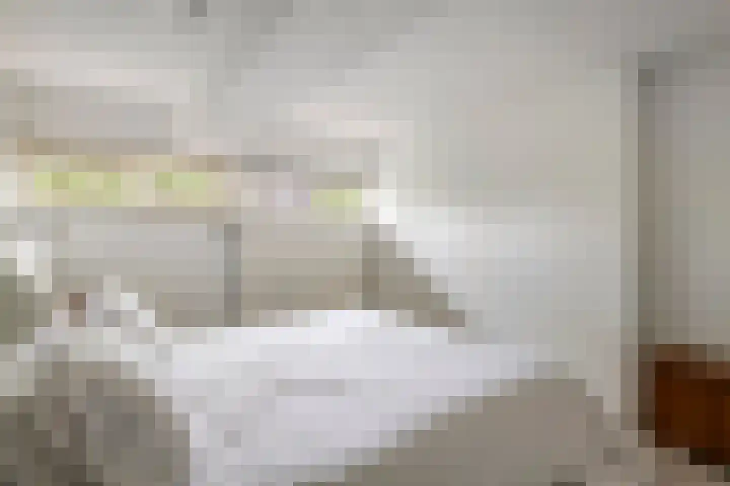 Walstraatje 2 b Tiel thumbnail 16
