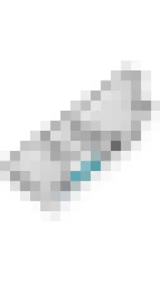 Walstraatje 2 b Tiel thumbnail 24