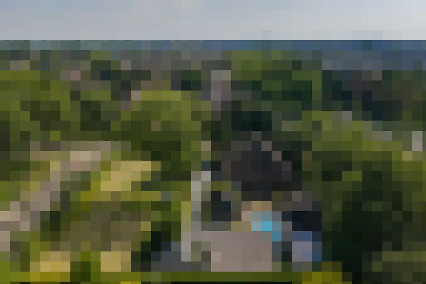 Walstro 1 Castricum thumbnail 18