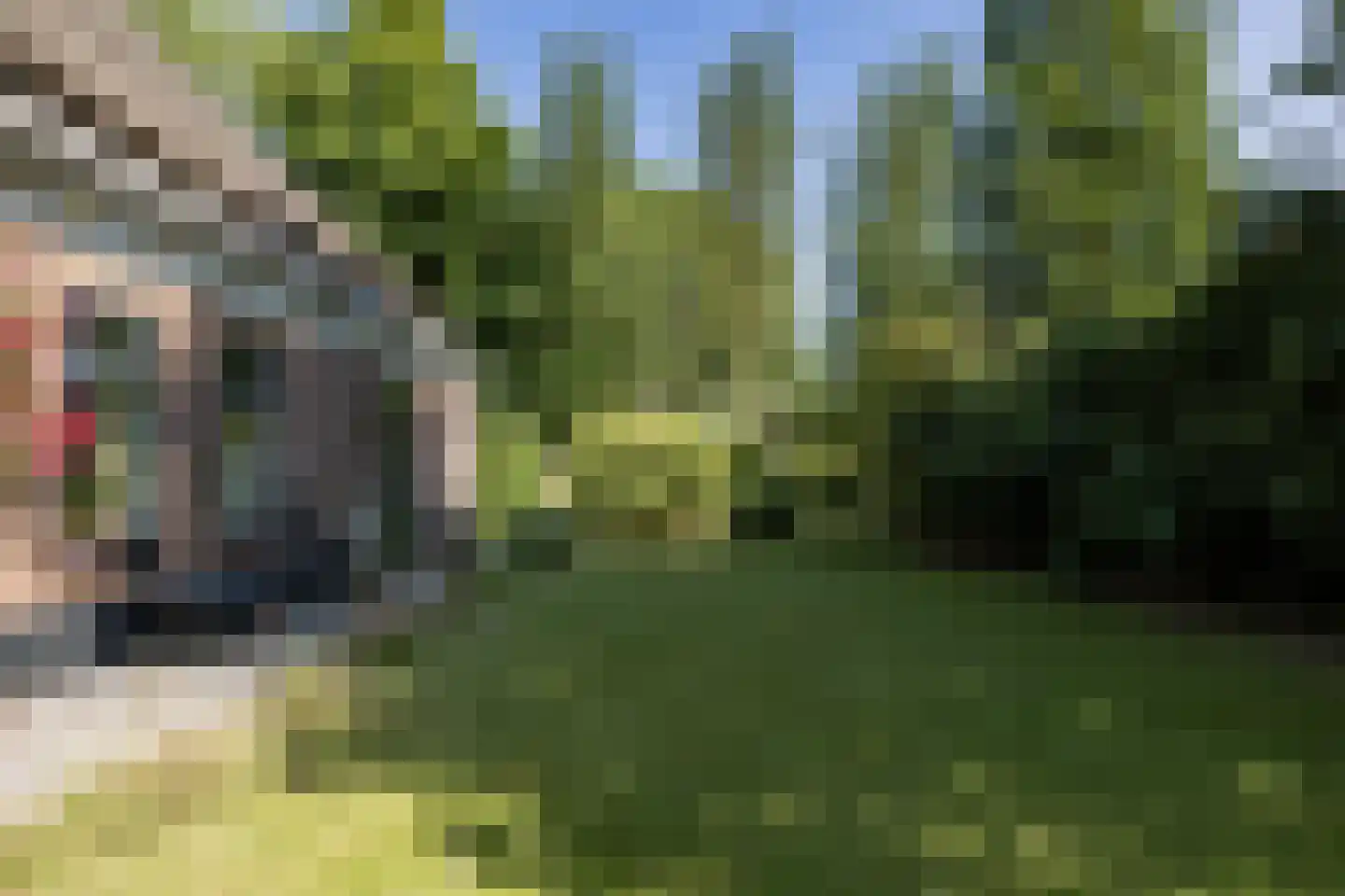 Walstro 1 Castricum thumbnail 24