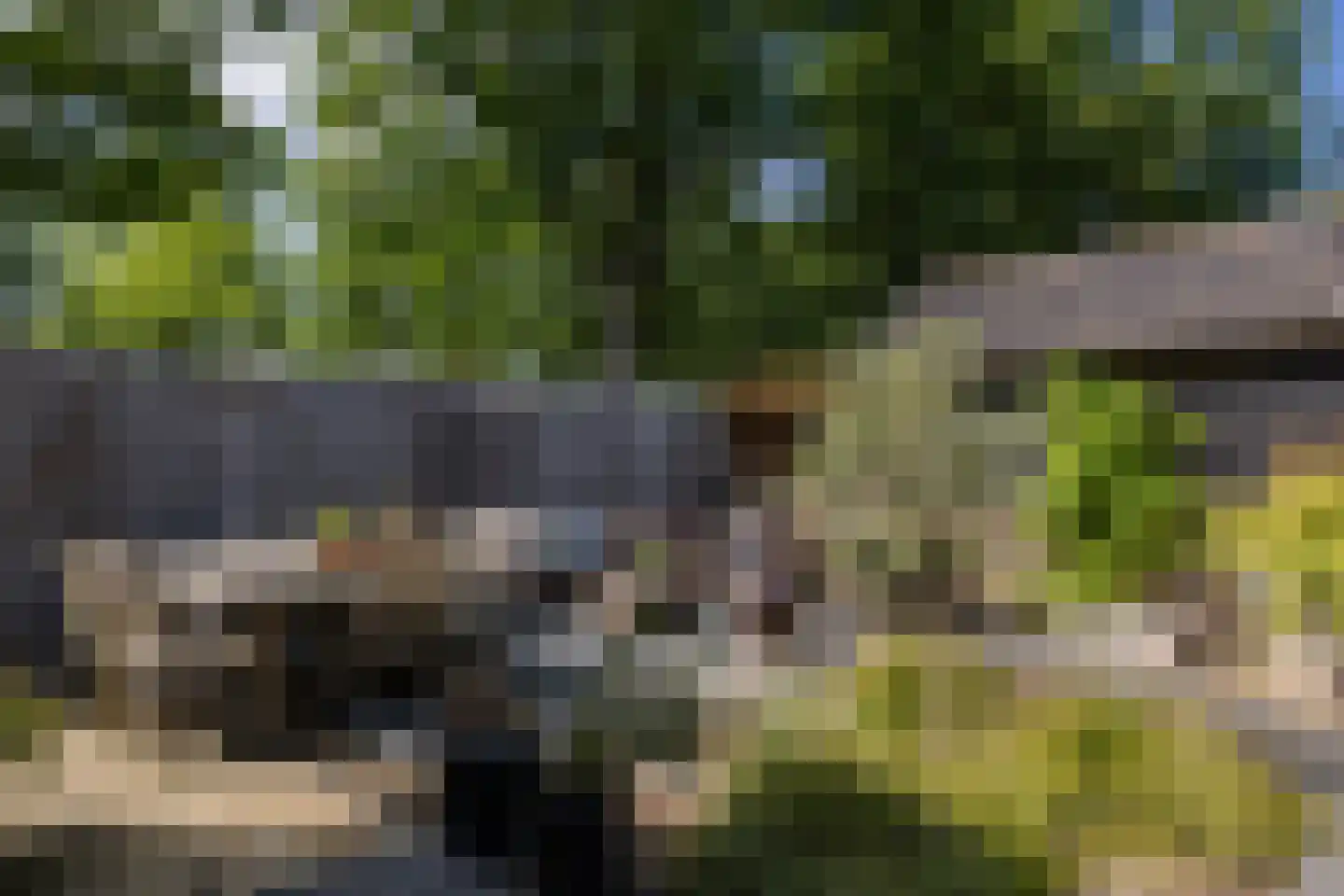 Walstro 1 Castricum thumbnail 26