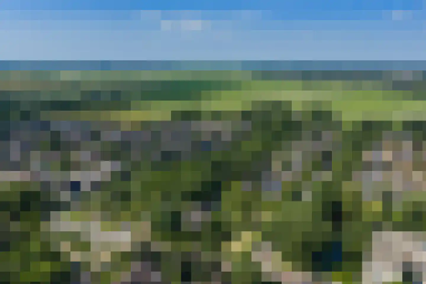 Walstro 1 Castricum thumbnail 31