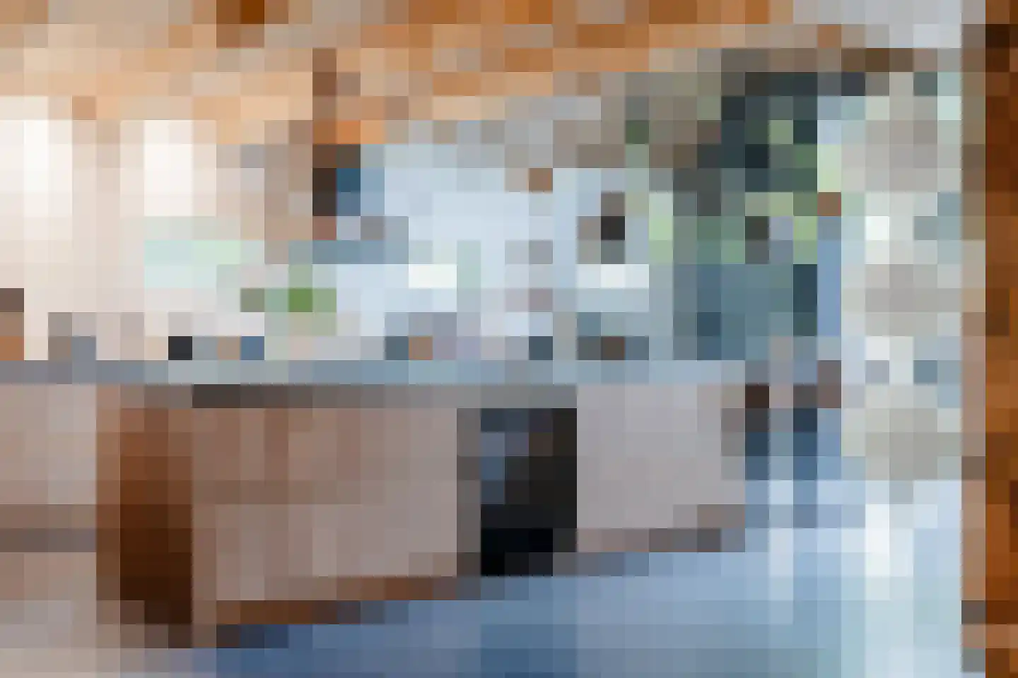 Walstro 1 Castricum thumbnail 5