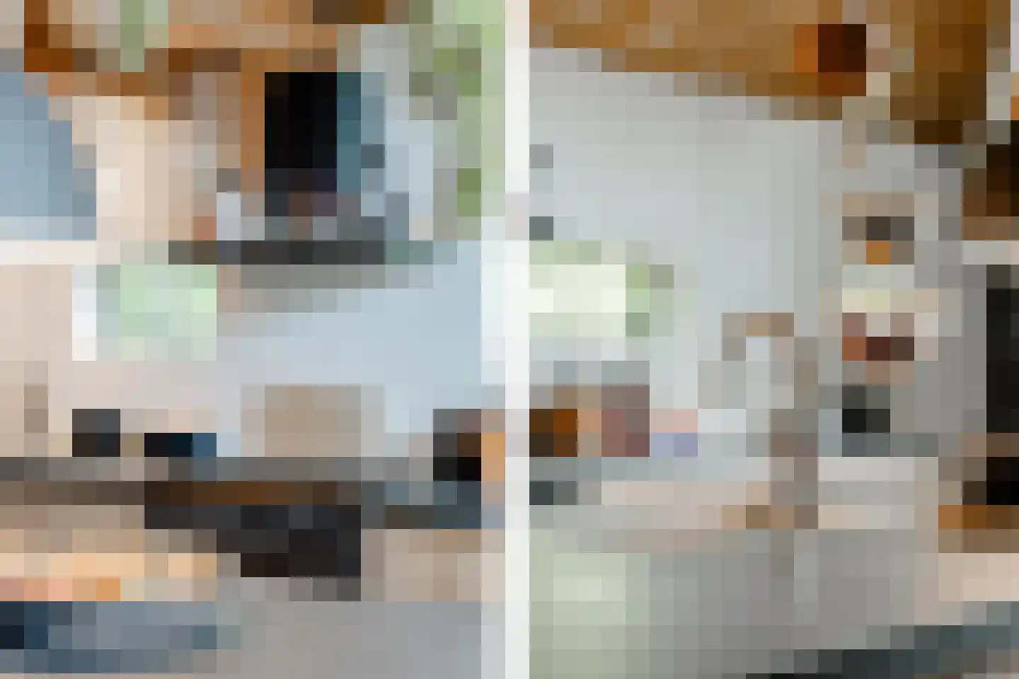 Walstro 1 Castricum thumbnail 6