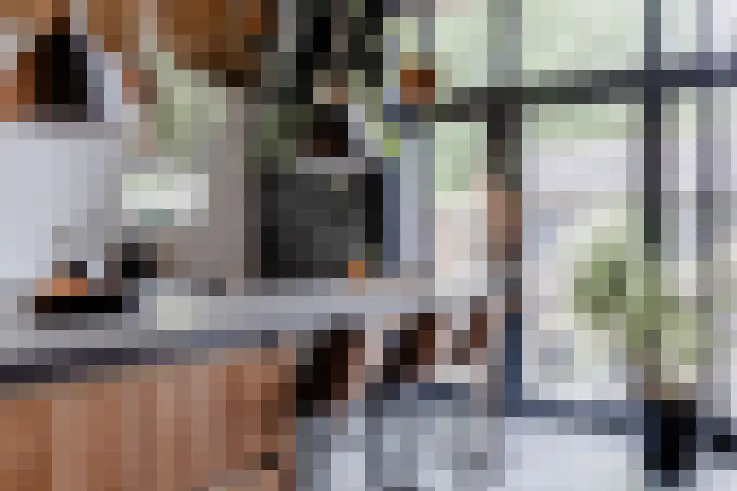 Walstro 1 Castricum thumbnail 7