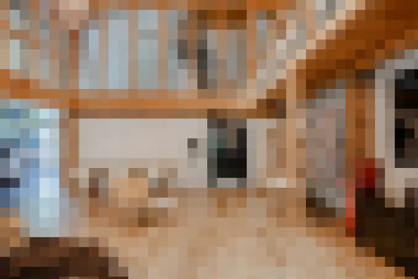 Walstro 1 Castricum thumbnail 9