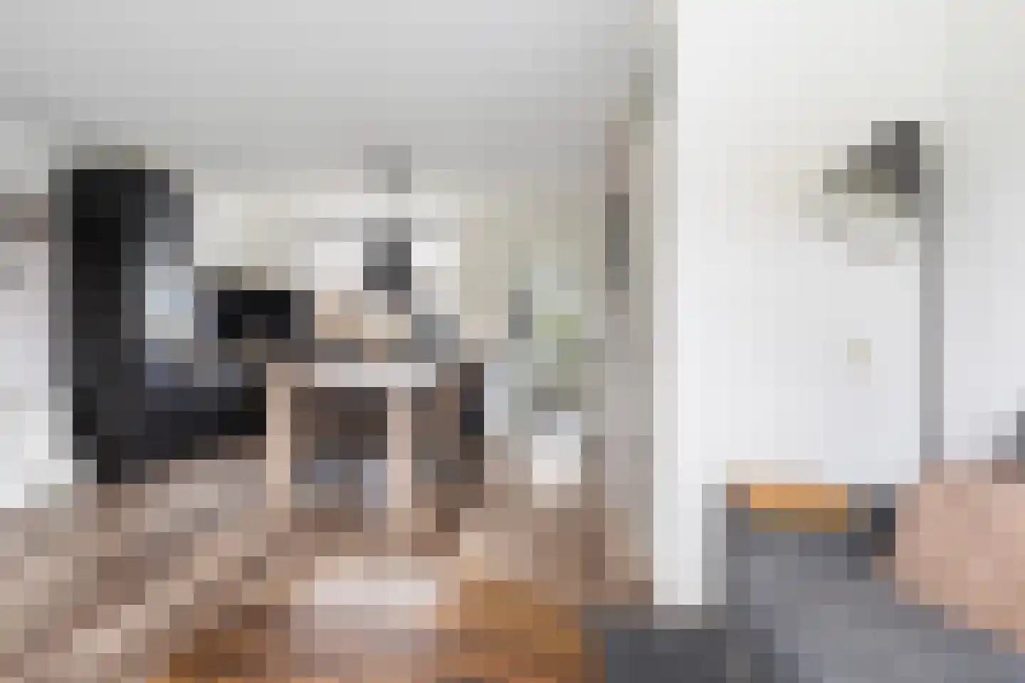 Walstro 10 Sneek thumbnail 11