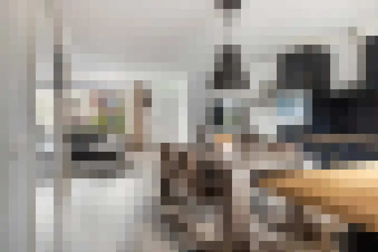 Walstro 10 Sneek thumbnail 13