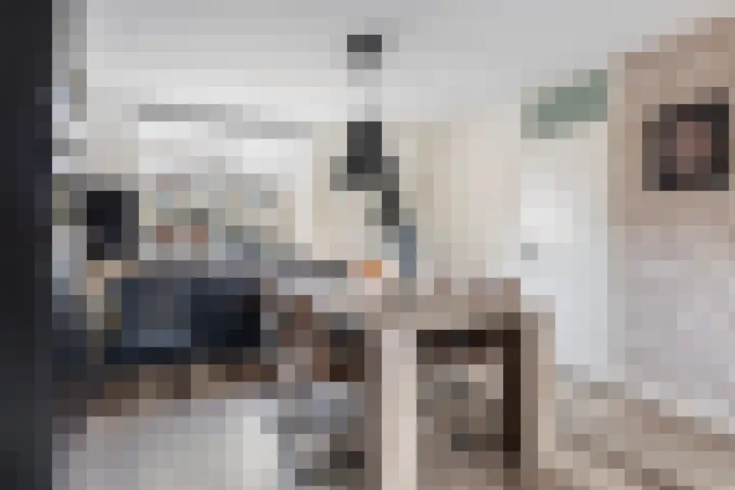 Walstro 10 Sneek thumbnail 14