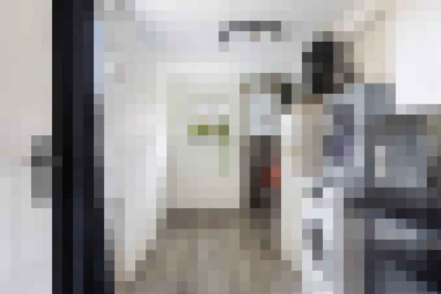 Walstro 10 Sneek thumbnail 17