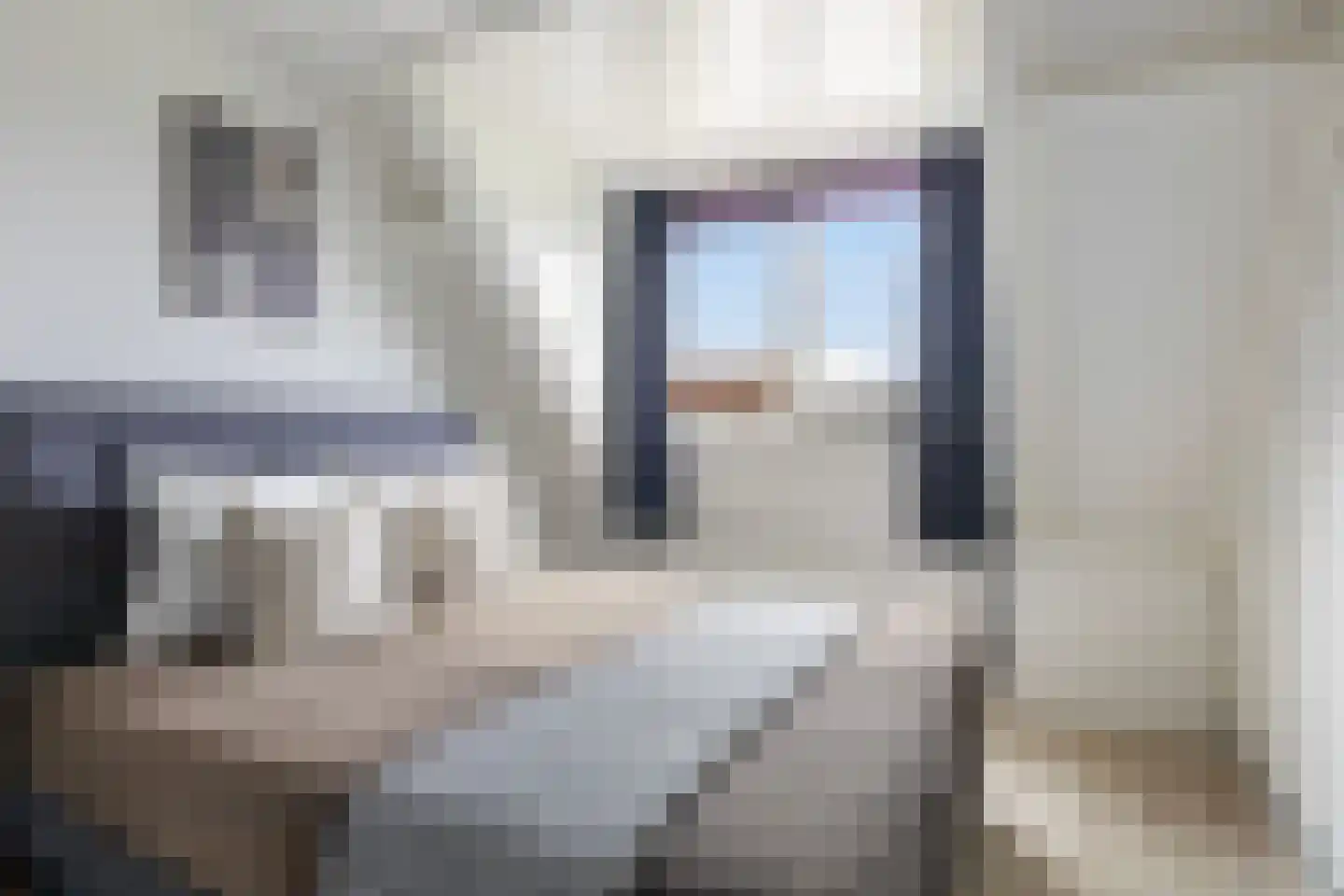 Walstro 10 Sneek thumbnail 21