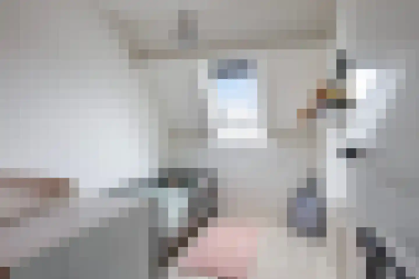 Walstro 10 Sneek thumbnail 23