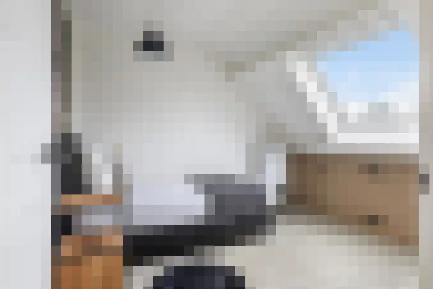 Walstro 10 Sneek thumbnail 27