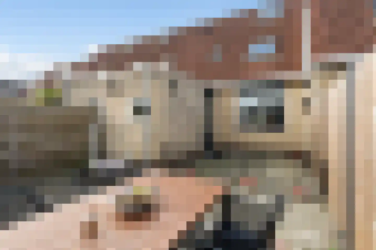Walstro 10 Sneek thumbnail 30