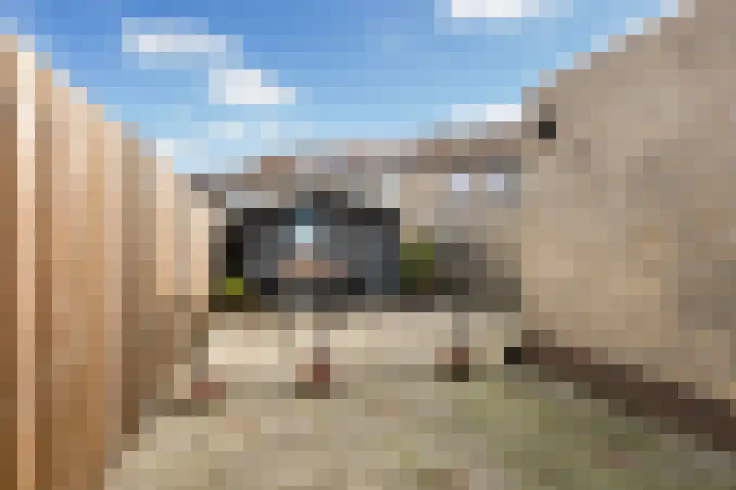 Walstro 10 Sneek thumbnail 32