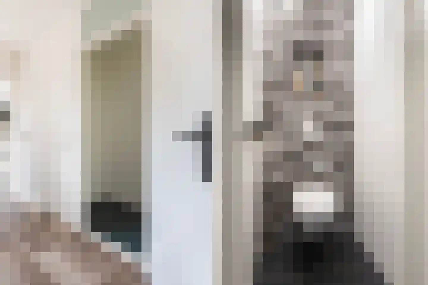 Walstro 10 Sneek thumbnail 7