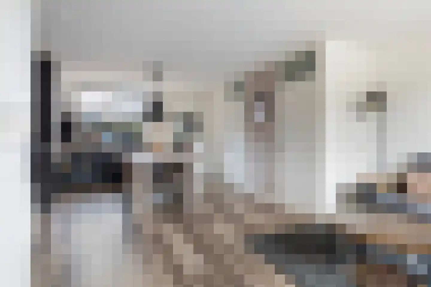 Walstro 10 Sneek thumbnail 8