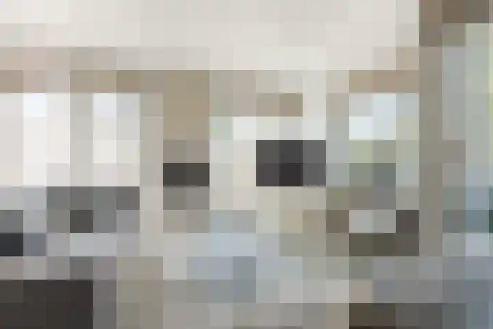 Walstro 15 Cuijk thumbnail 10